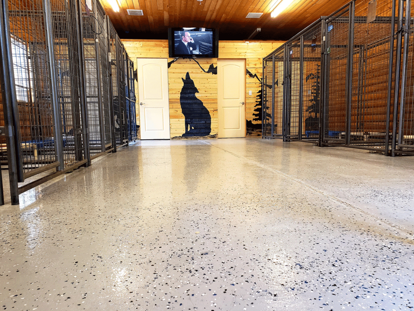 Overnight Dog Boarding, Dog Boarding Kennel Grand Junction, CO RUFF